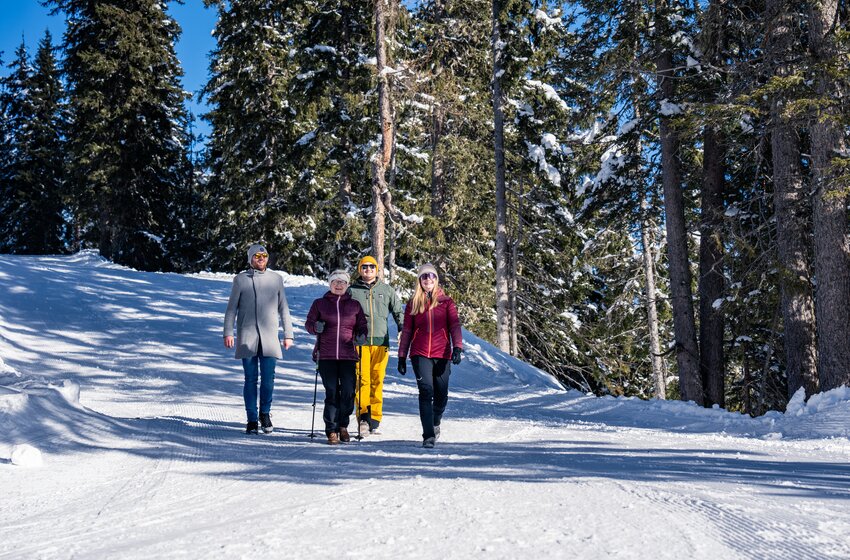 Four people of different generations walk together through a snowy winter forest in bright sunshine. | © Winterwanderbilder (c) Gerald Oberreiter